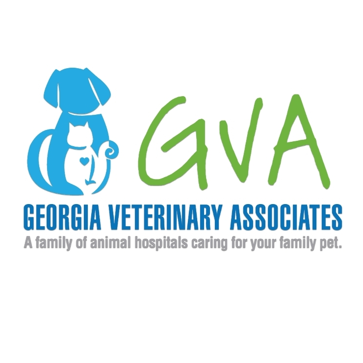 Georgia Veterinary Associates